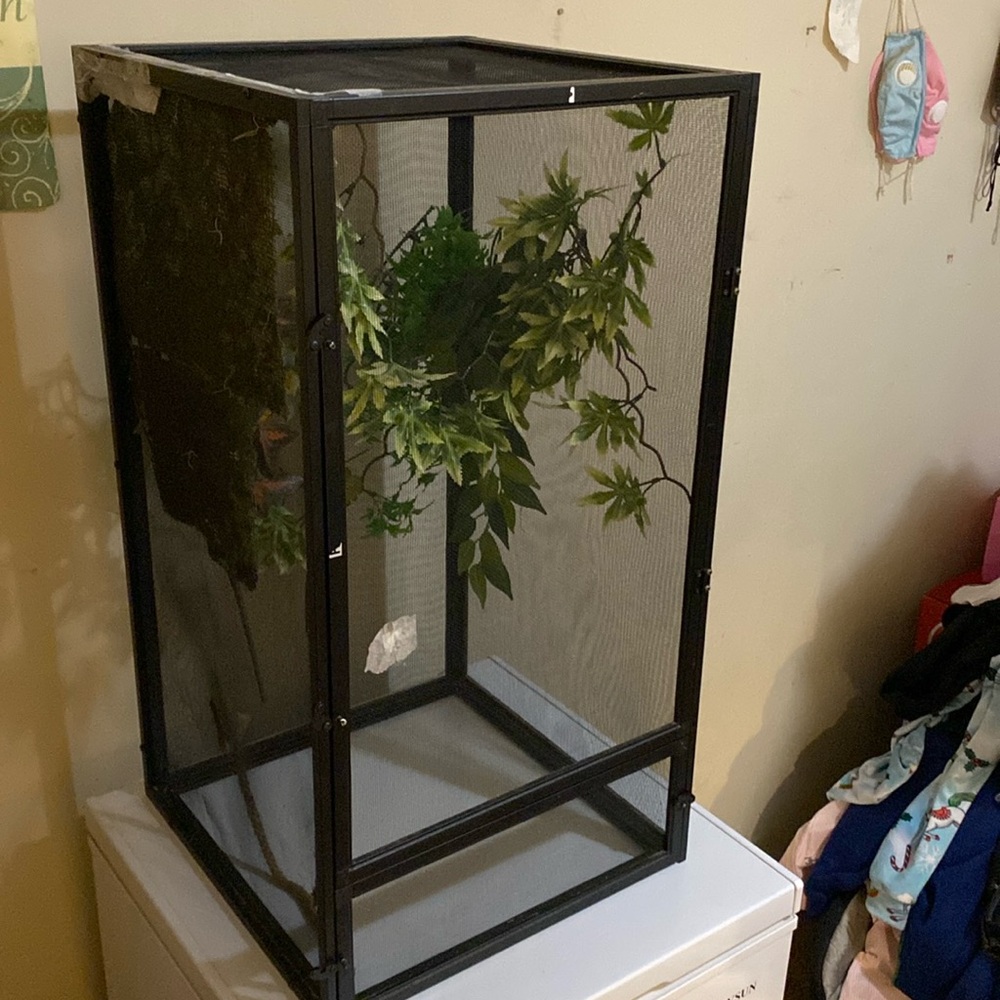 Reptile terrarium